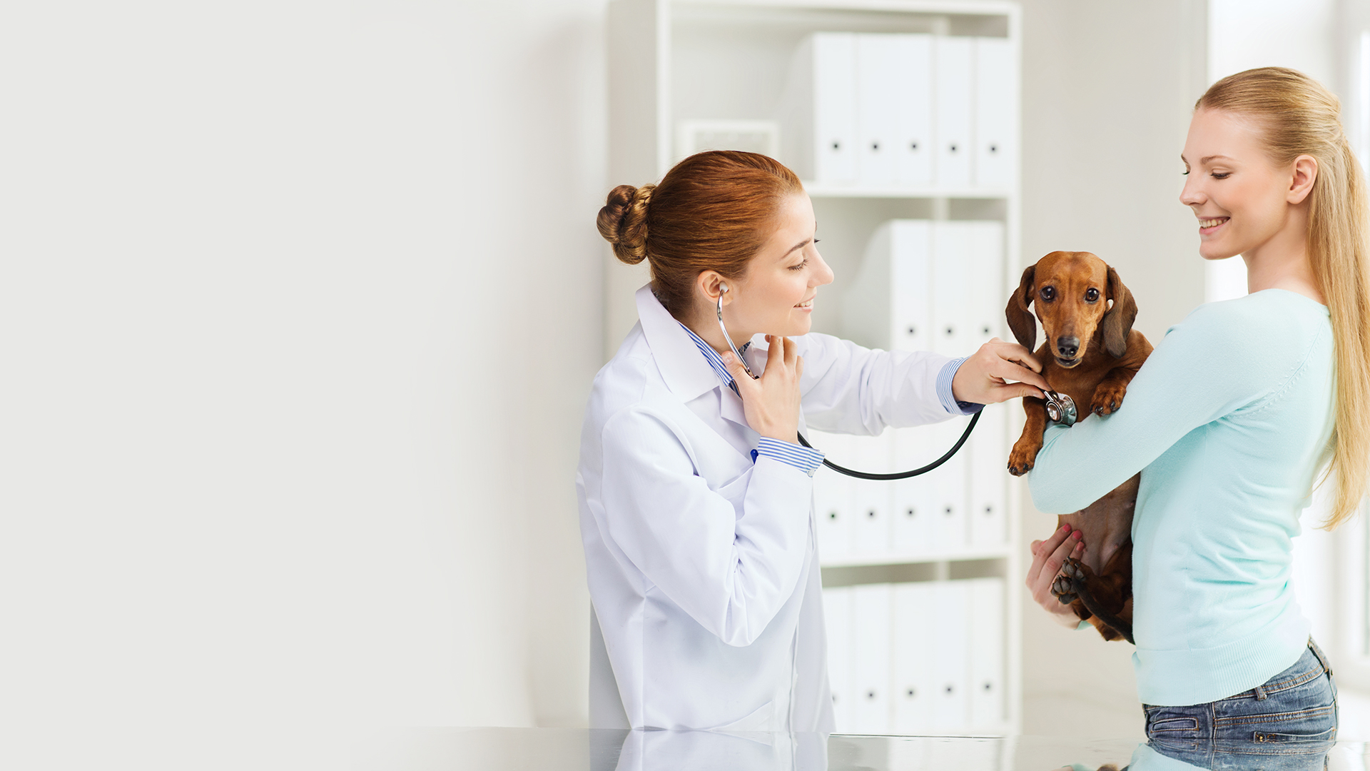 Veterinary Care Marketing